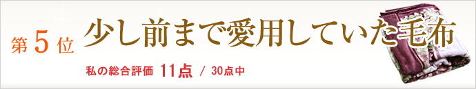 少し前まで愛用していた毛布